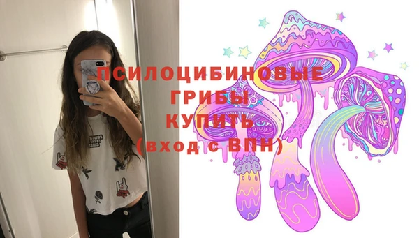 соль ск Армянск