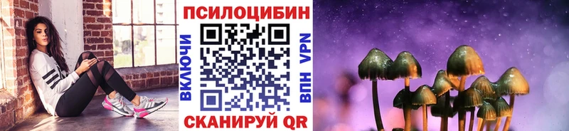 KRAKEN онион  Полесск  Псилоцибиновые грибы MAGIC MUSHROOMS 